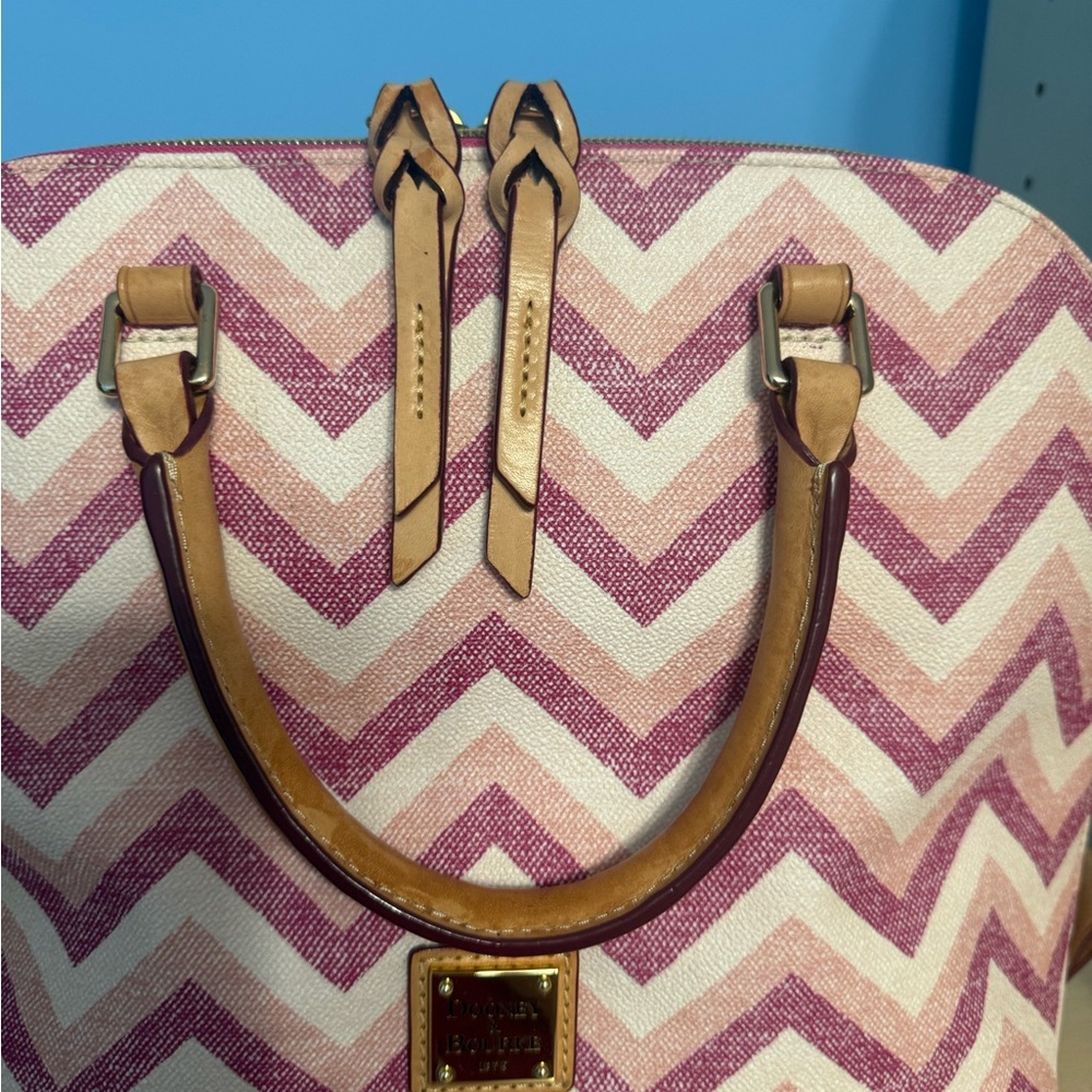 Dooney & Bourke Pink Chevron Women's Bag